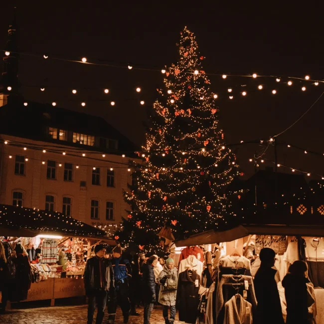 alsu-vershinina-jmENBTYM1xI-unsplash